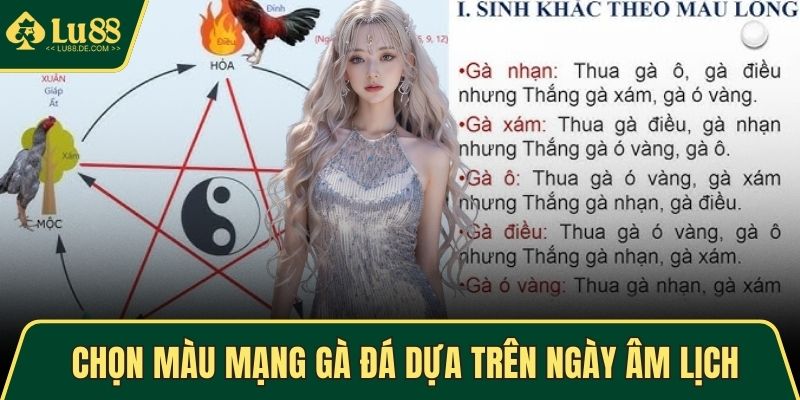 Màu Mạng Gà Đá - Phong Thủy Chiến Kê Cực Tốt, Cực Chuẩn 4 Chọn màu mạng gà đá dựa trên ngày âm lịch